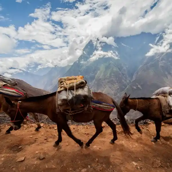 Choquequirao Trek 4 días​