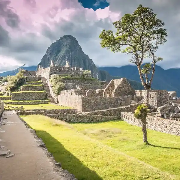 Salkantay Trek & Camino Inca 7 días​